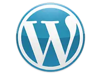 Wordpress | Netherlands Website Designer